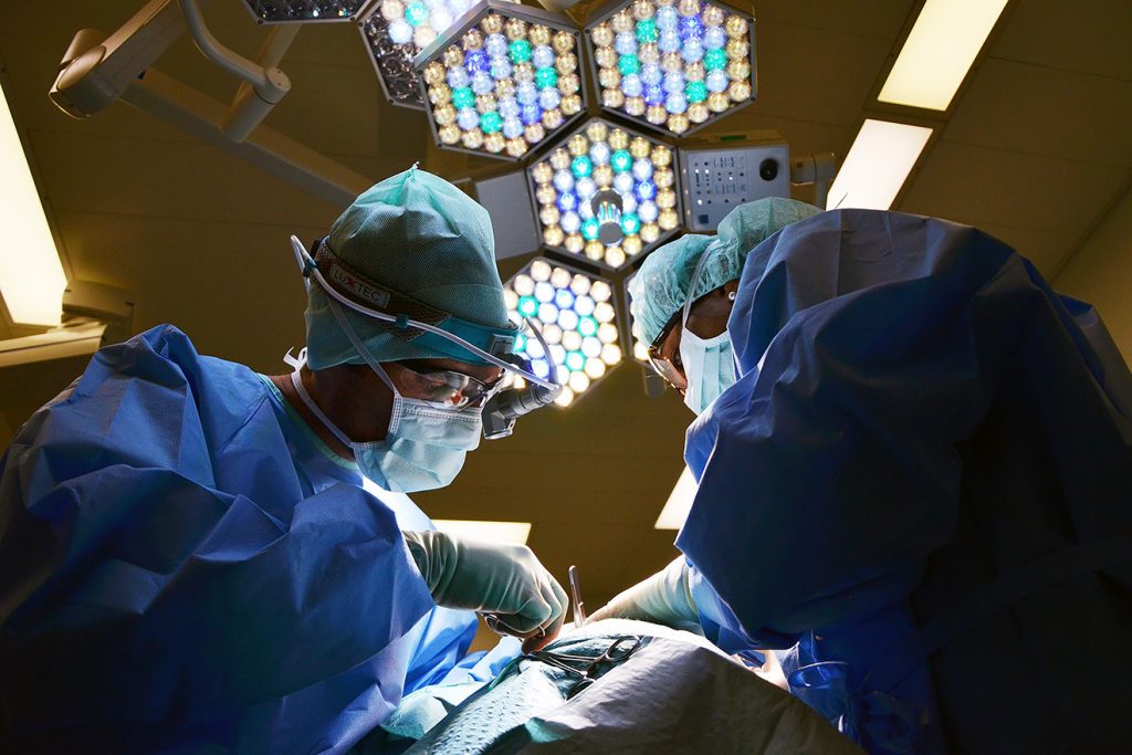 Two medical doctors working in surgery